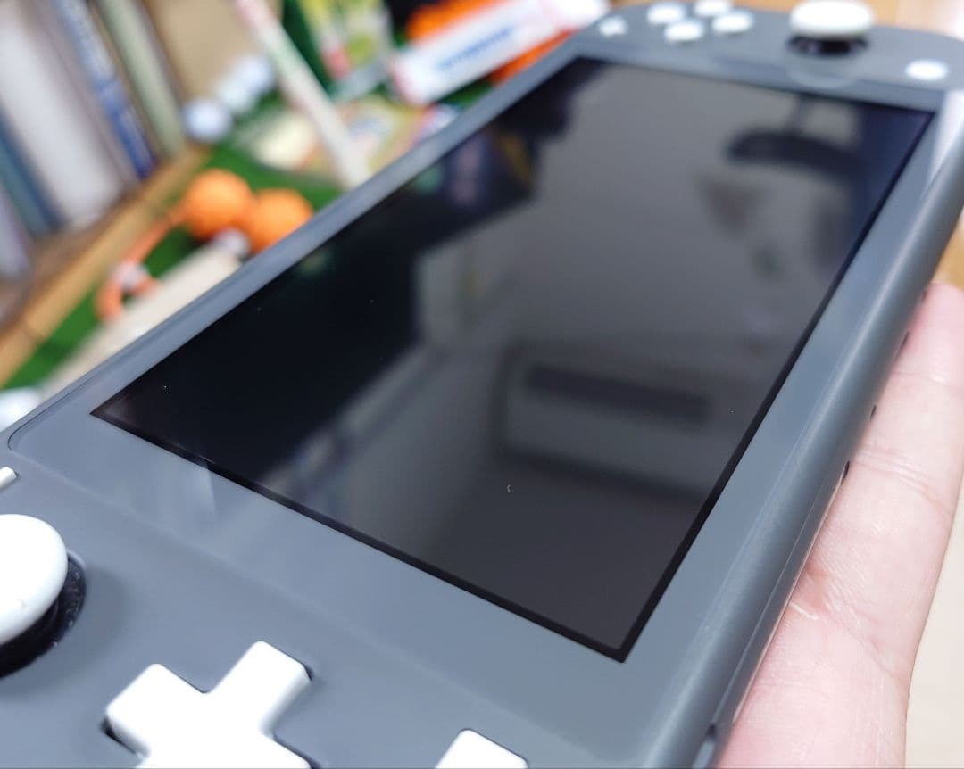 Nintendo Switch Lite グレー 本体（箱、付属品有り）