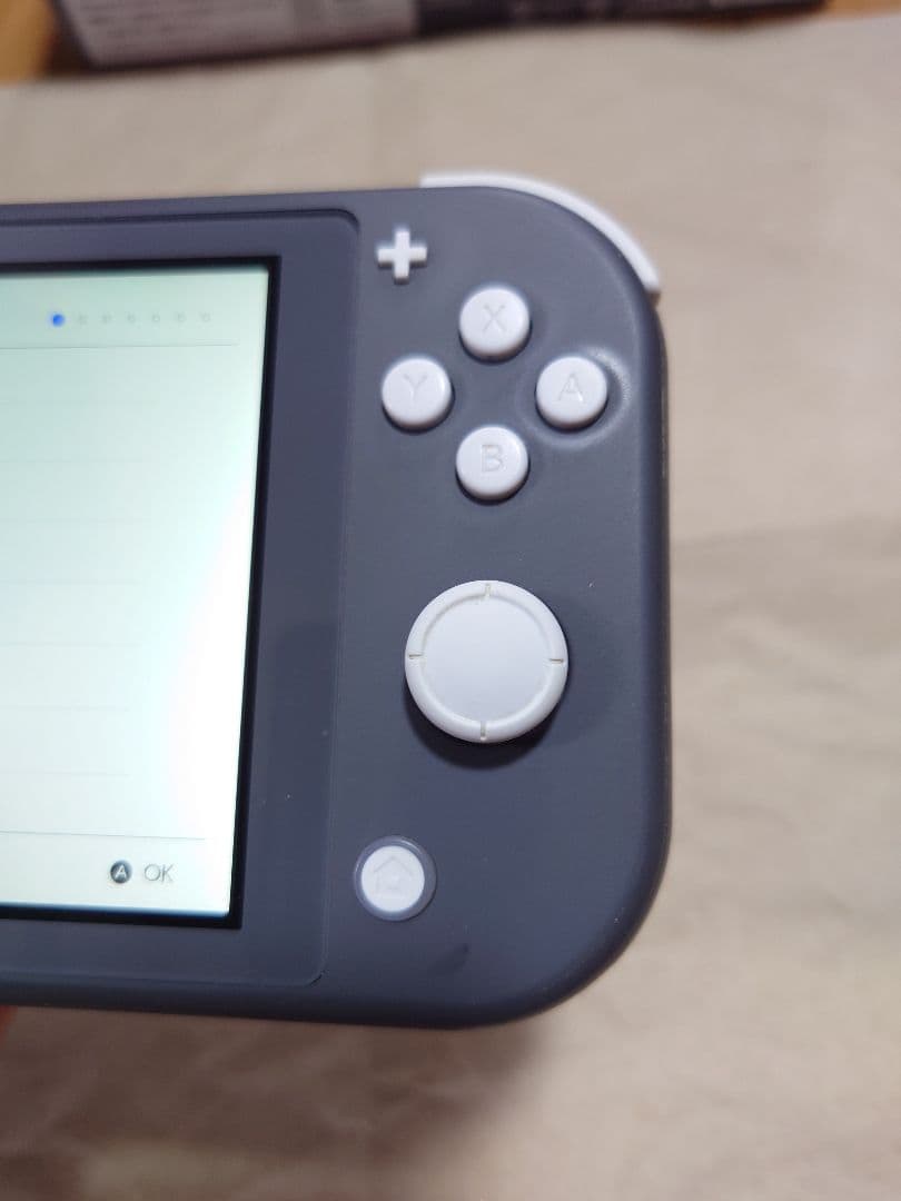 Nintendo Switch Lite グレー 本体（箱、付属品有り）
