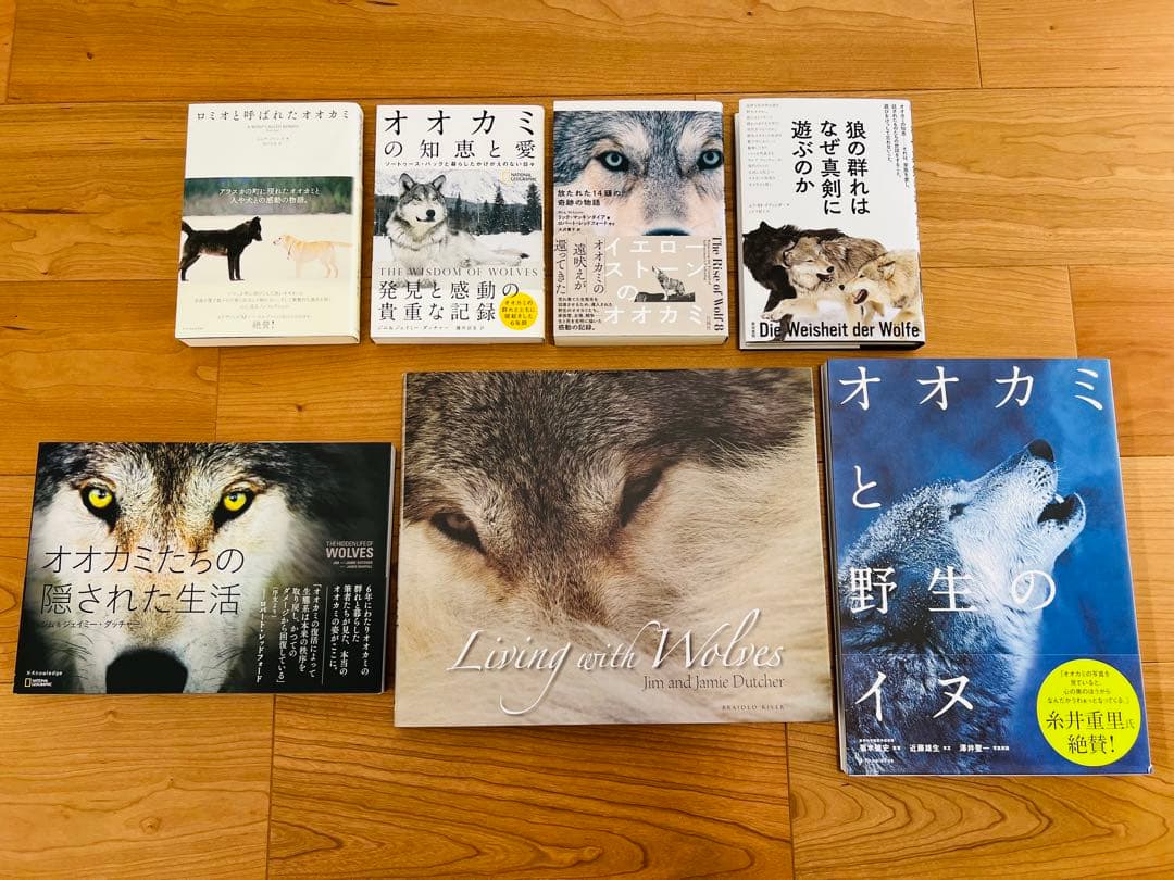 ロミオと呼ばれたオオカミ　イエローストーンのオオカミ　オオカミたちの隠された生活