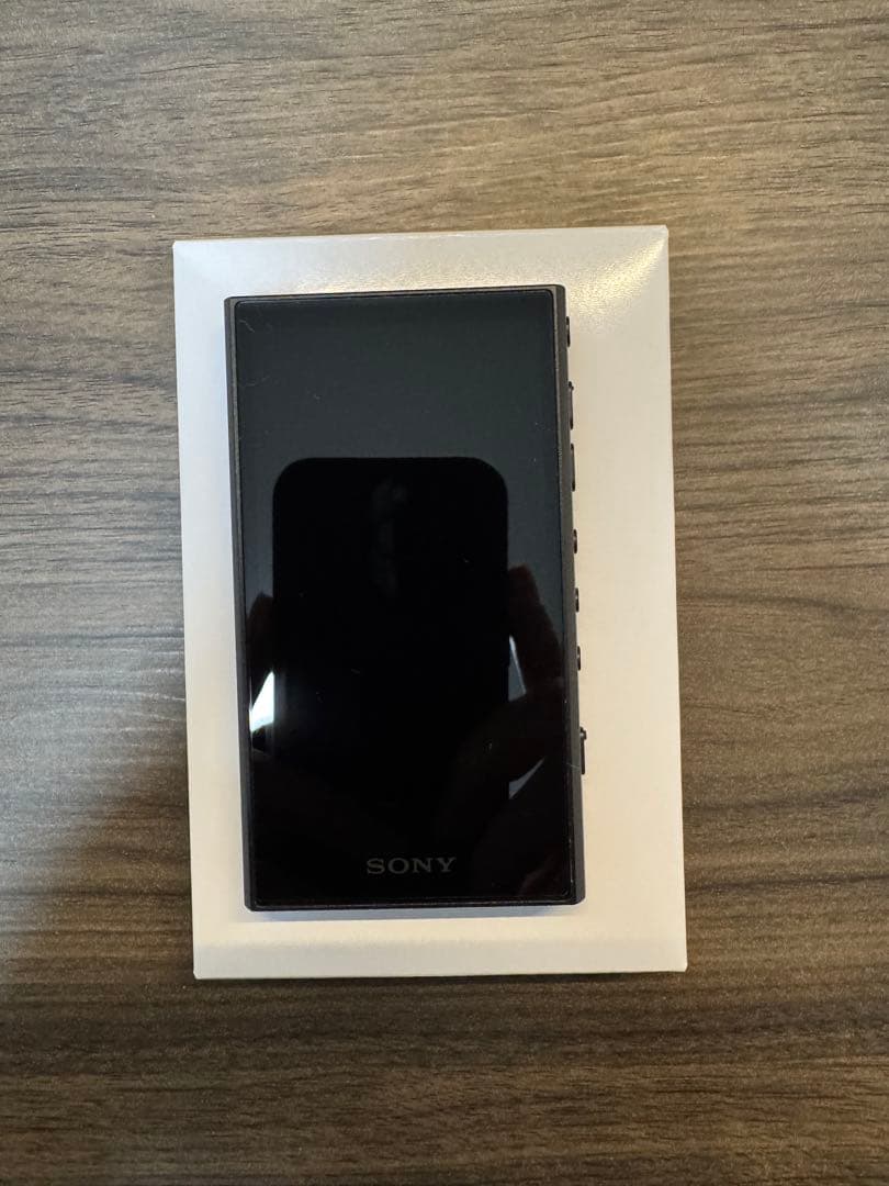 SONY NW-A306 Walkman デジタルオーディオプレーヤー