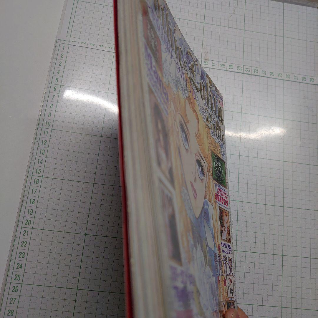 ゴシック&ロリータバイブル v.13