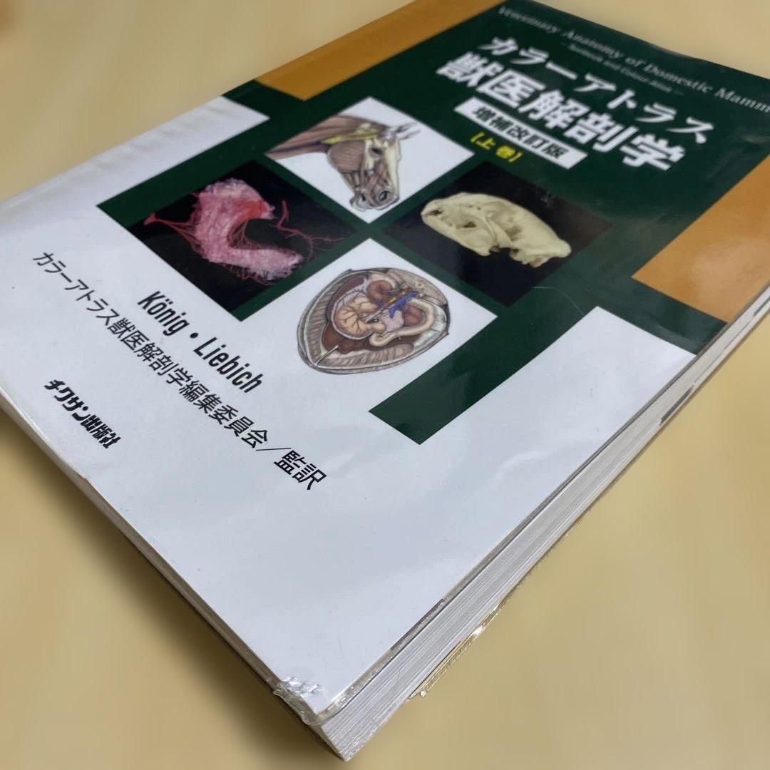 値下げ中 カラーアトラス 獣医解剖学 上下巻 セット 増補改訂版