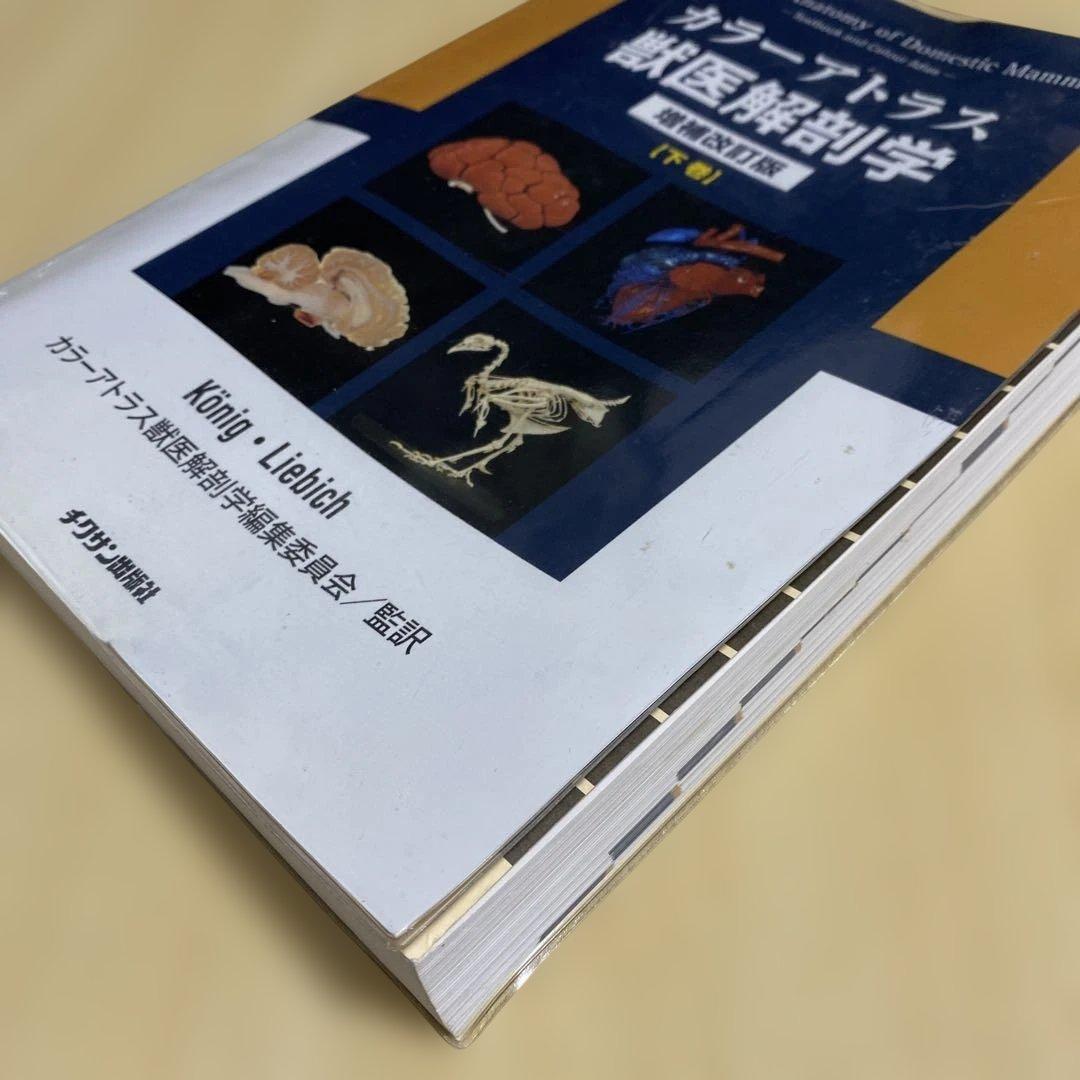 値下げ中 カラーアトラス 獣医解剖学 上下巻 セット 増補改訂版