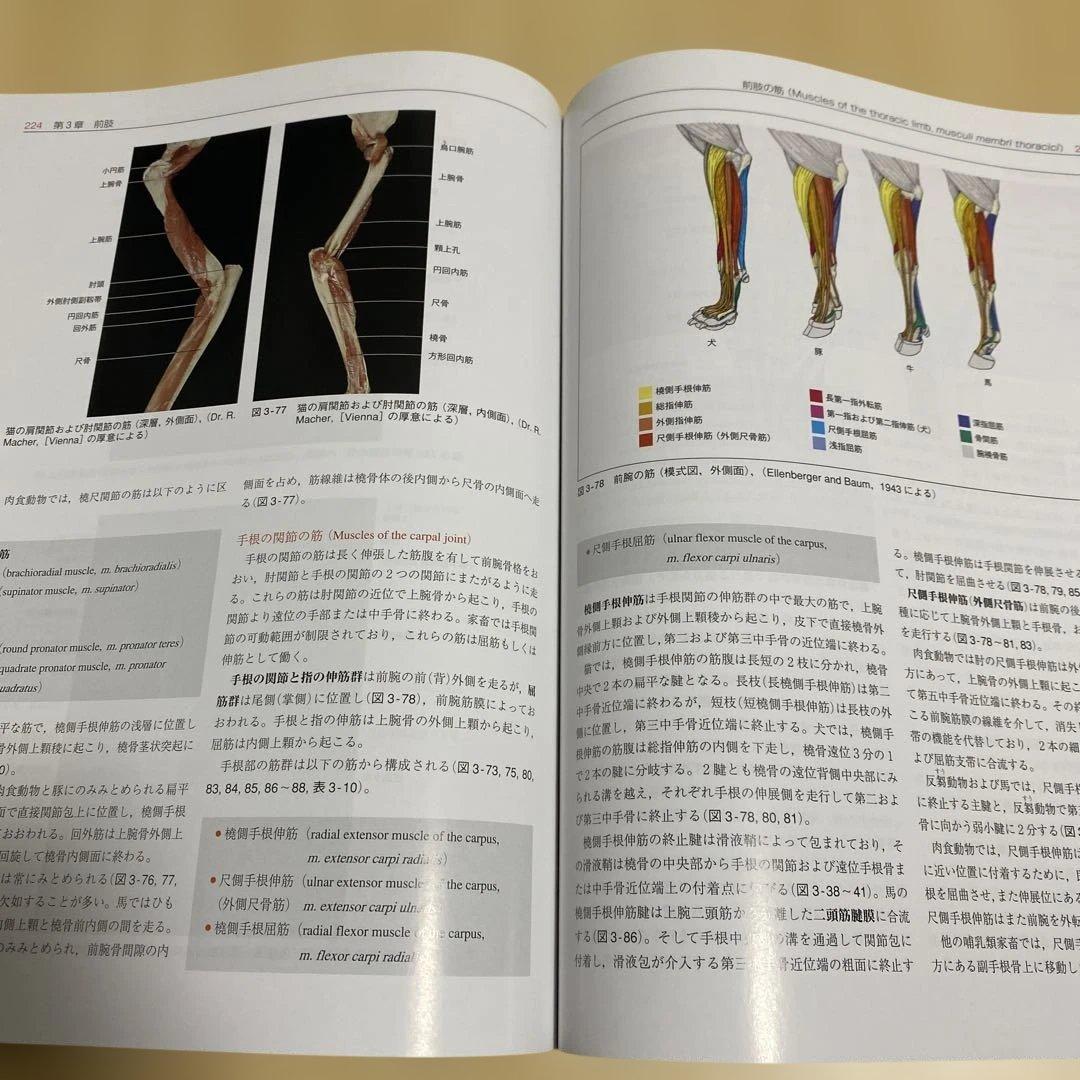 値下げ中 カラーアトラス 獣医解剖学 上下巻 セット 増補改訂版