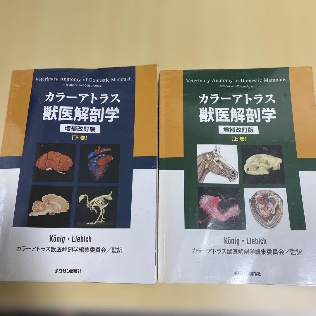 値下げ中 カラーアトラス 獣医解剖学 上下巻 セット 増補改訂版