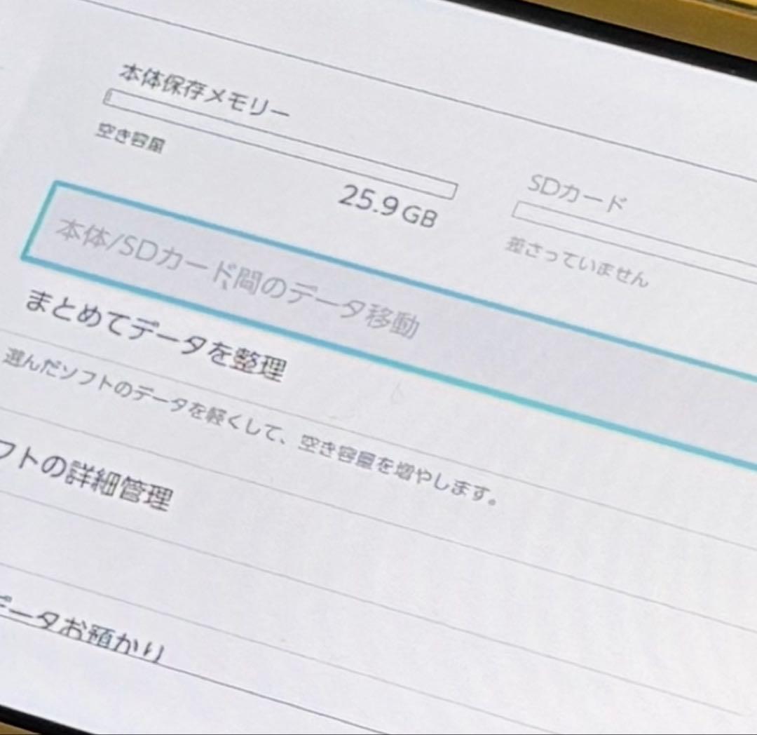 Nintendo Switch Lite イエロー 25.9GB