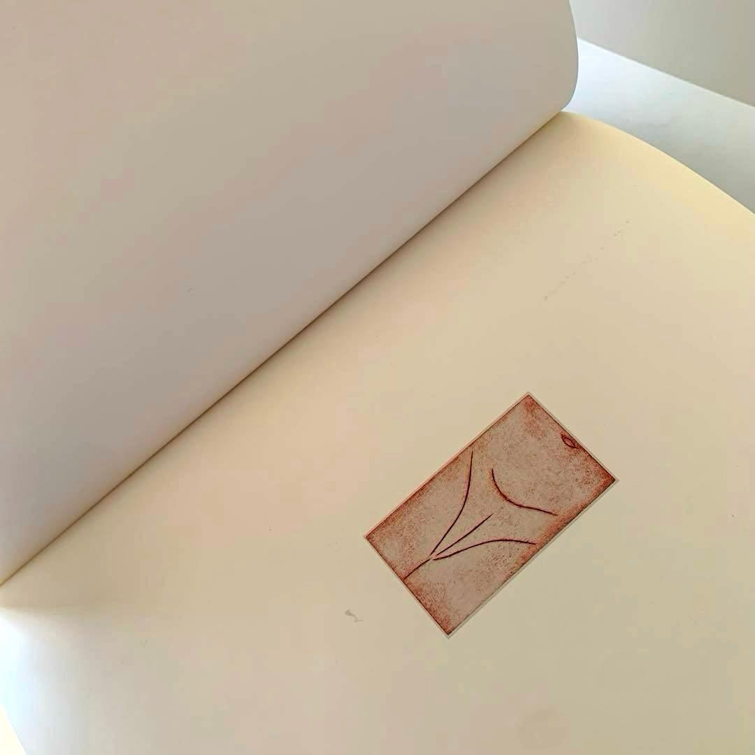 Picasso Erotique Hard cover book 英語版