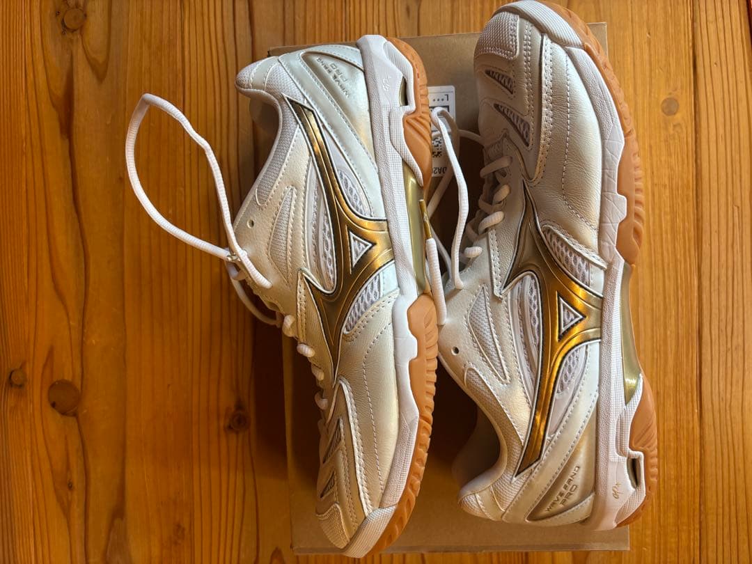 ミズノ WAVE FANG PRO [28.5cm] 天然皮革