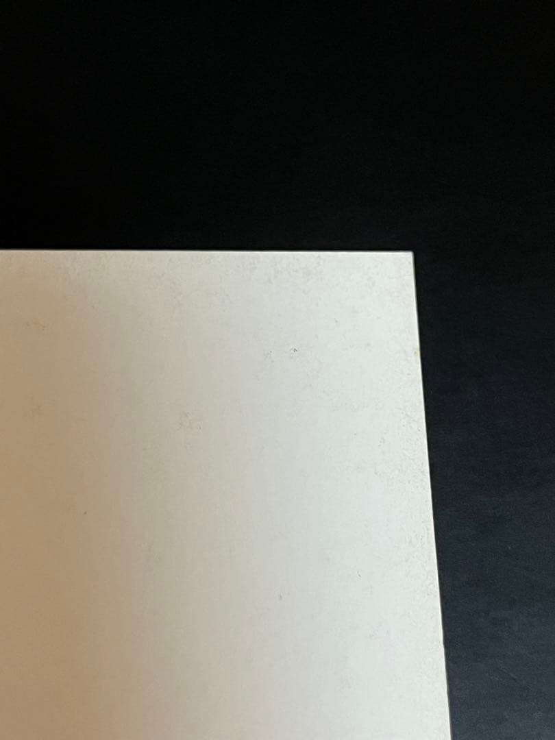 TWICE TT ナヨンサノクフォト