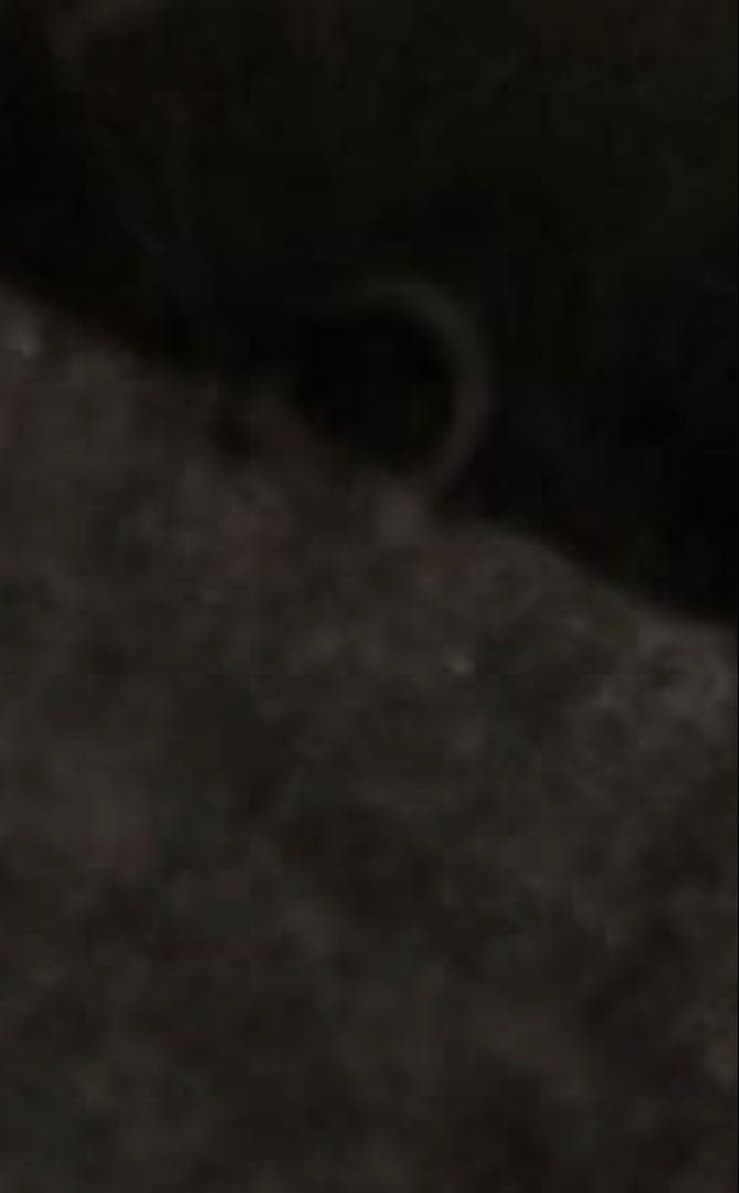 ポンチョ　黒　ブラック　フォックスファー　ファーポンチョ　コート　カシミヤ　羊毛