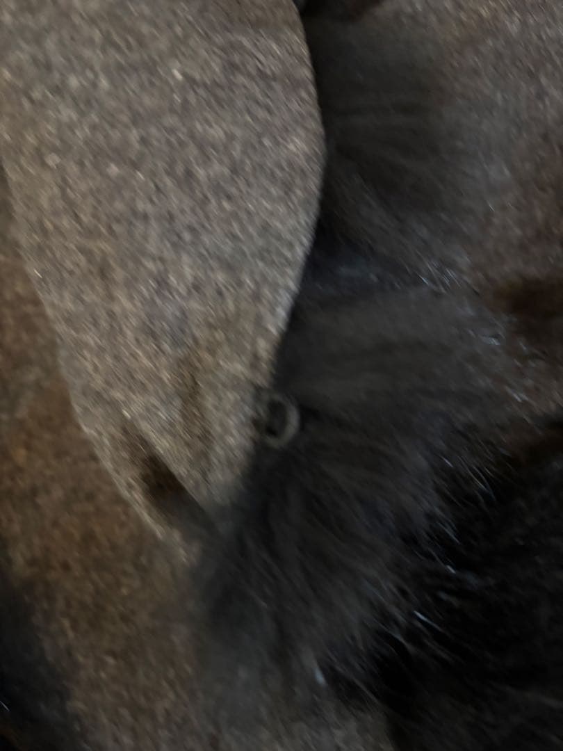 ポンチョ　黒　ブラック　フォックスファー　ファーポンチョ　コート　カシミヤ　羊毛