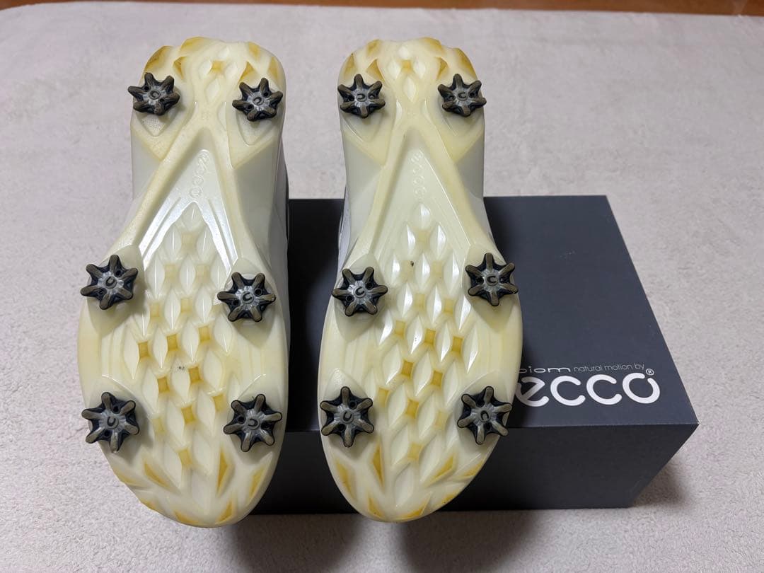 ECCO エコー BIOM G5 BOA バイオムG5 ボア メンズ 27.5