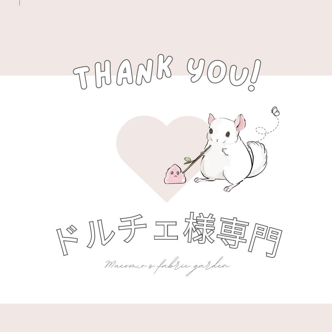 ドルチェ様専門