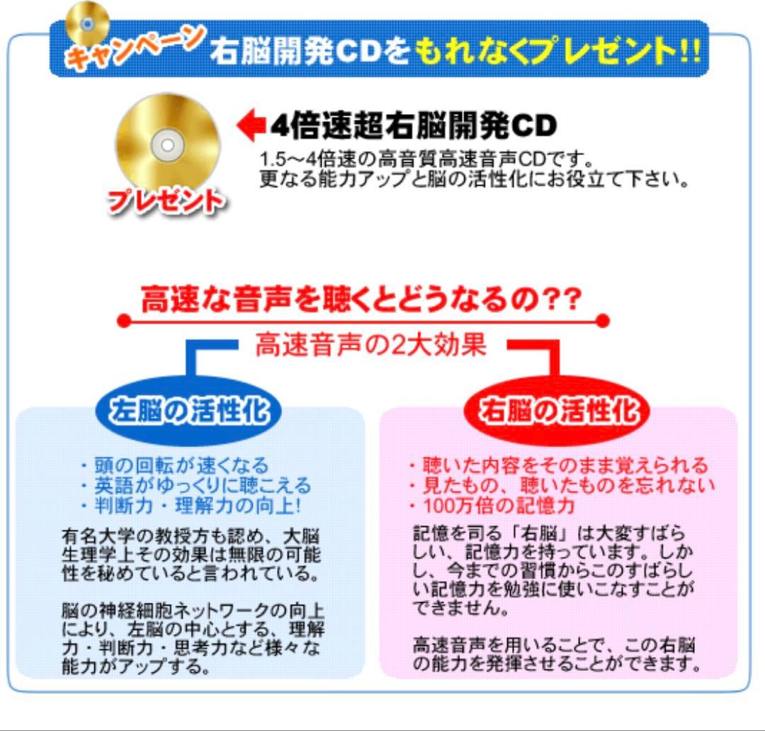 小学校受験　分野別　合格セット　専用ファイル付