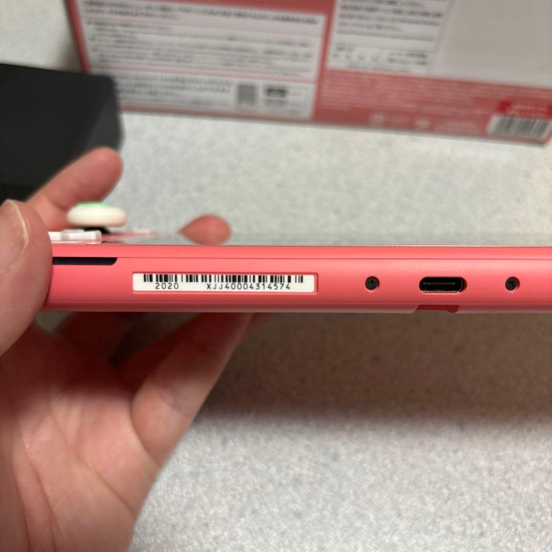 Nintendo Switch Lite本体