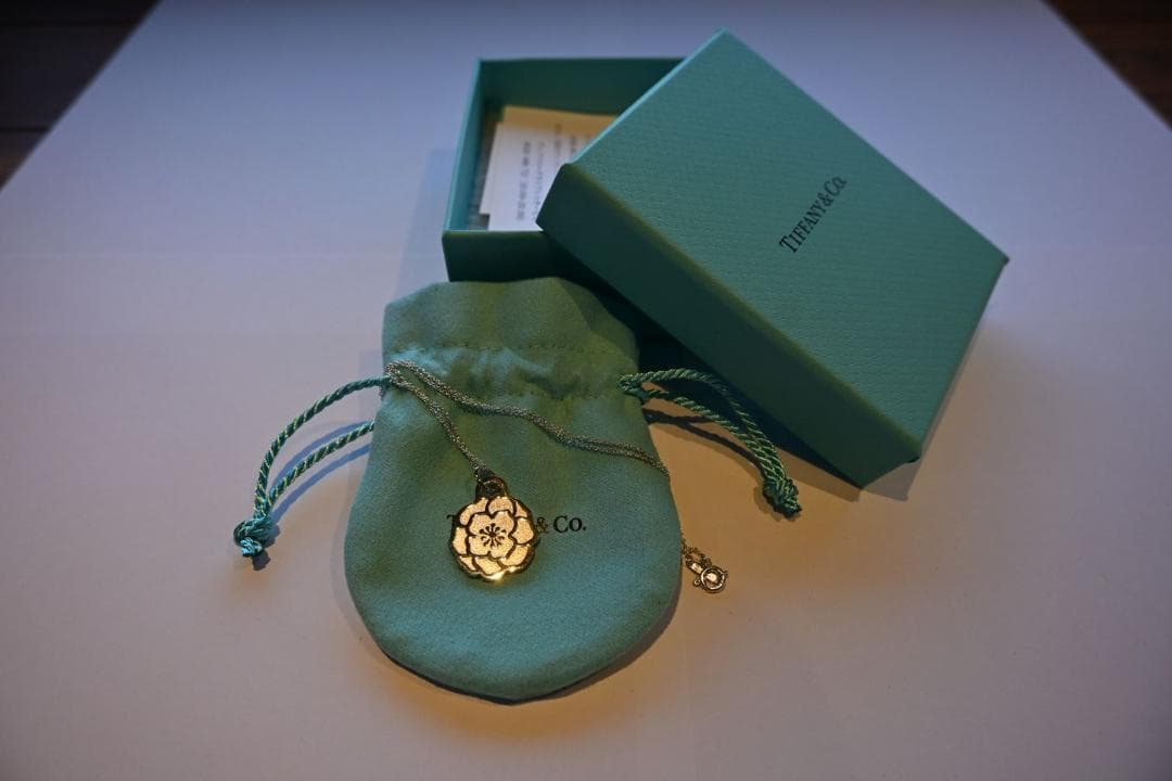 名古屋ウィメンズマラソン 2024年　ティファニー