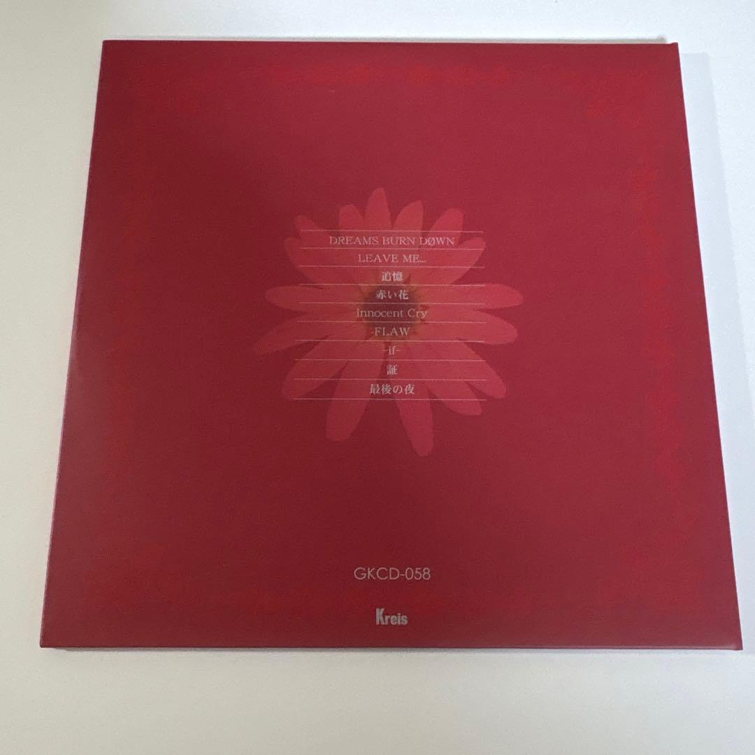 Kαin Kain JILS D≒SIRE 幸也 カイン ジルス デザイア 34