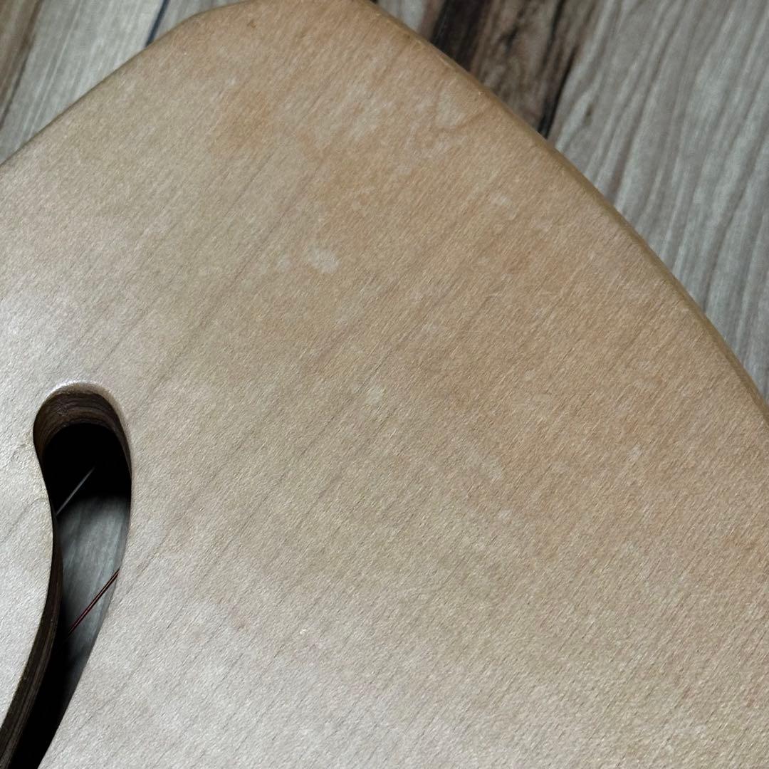 アウリス社　アウリスライアー　キンダーライアー　12弦