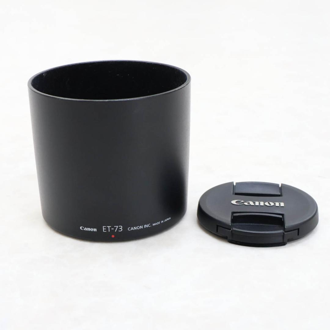 Canon EF100mm F2.8L マクロ IS USM 中古