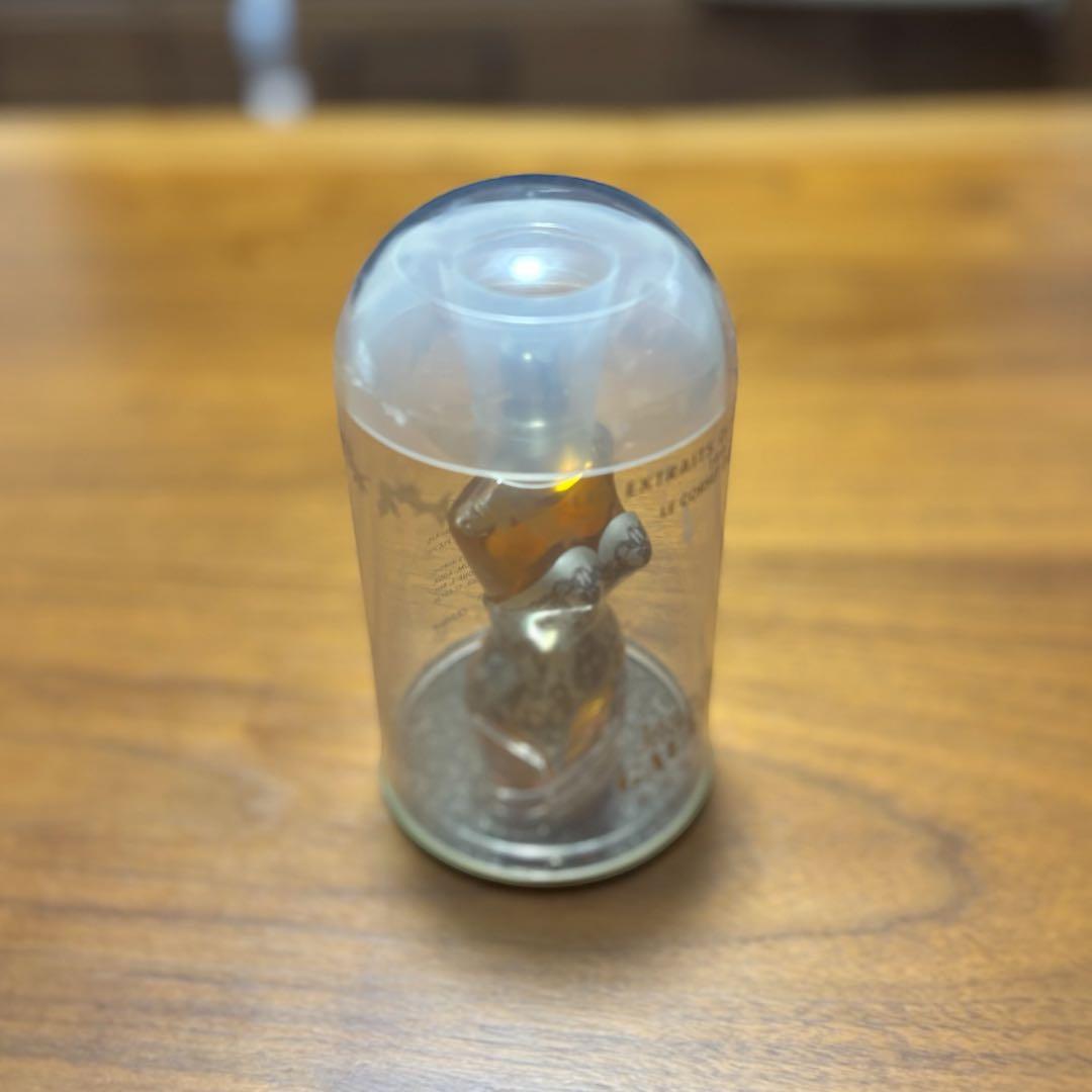 【希少】ジャンポールゴルチエ クラシック レースコルセット　未開封