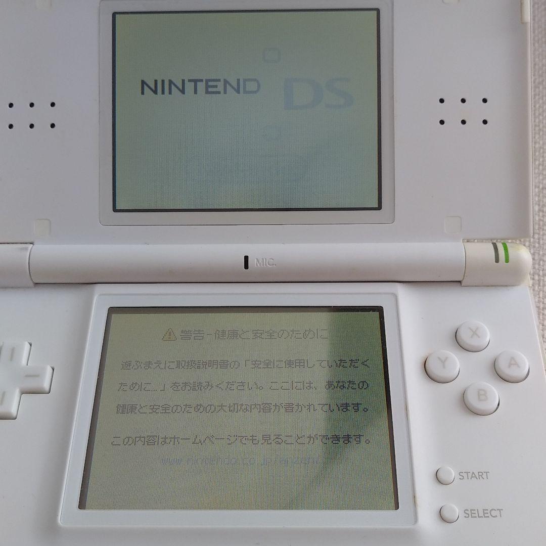 ニンテンドーDS 本体　どうぶつの森　セット