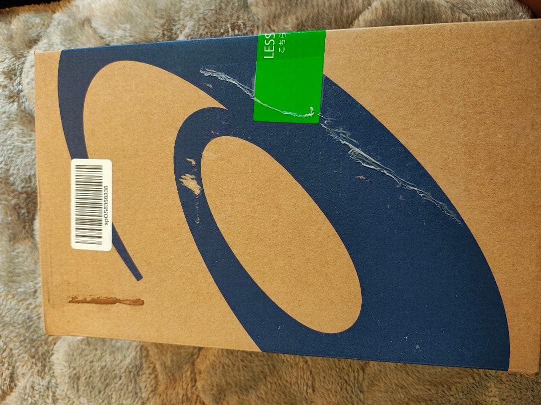 アシックス DS LIGHT X-FLY 5 27.0 cm 2E