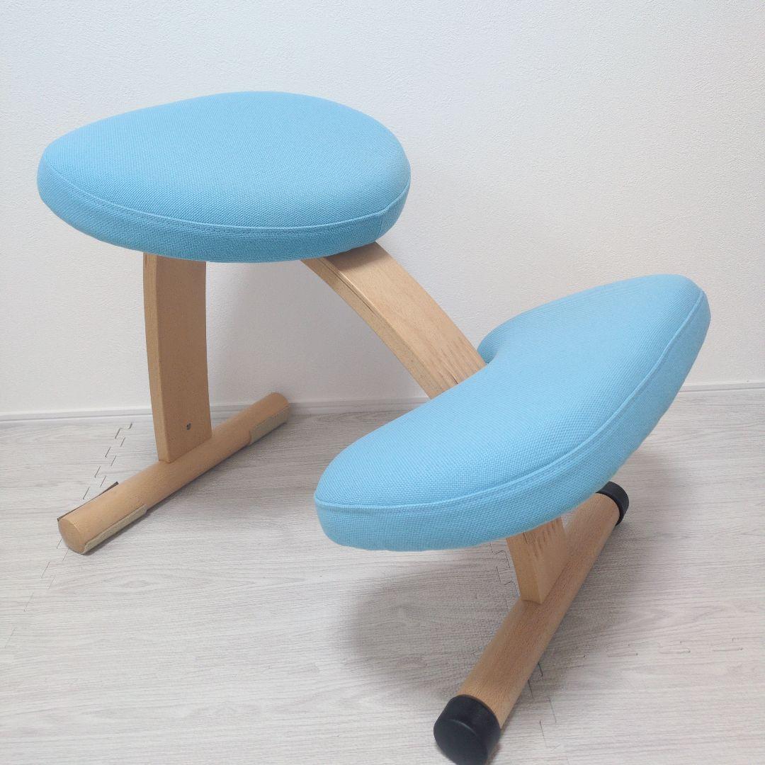 ✨️美品✨️Balans EASY バランスイージー　チェア カバー、説明書付き