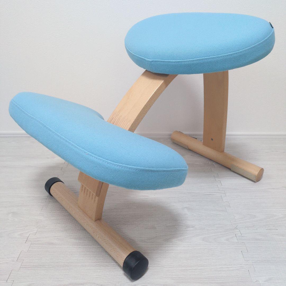 ✨️美品✨️Balans EASY バランスイージー　チェア カバー、説明書付き