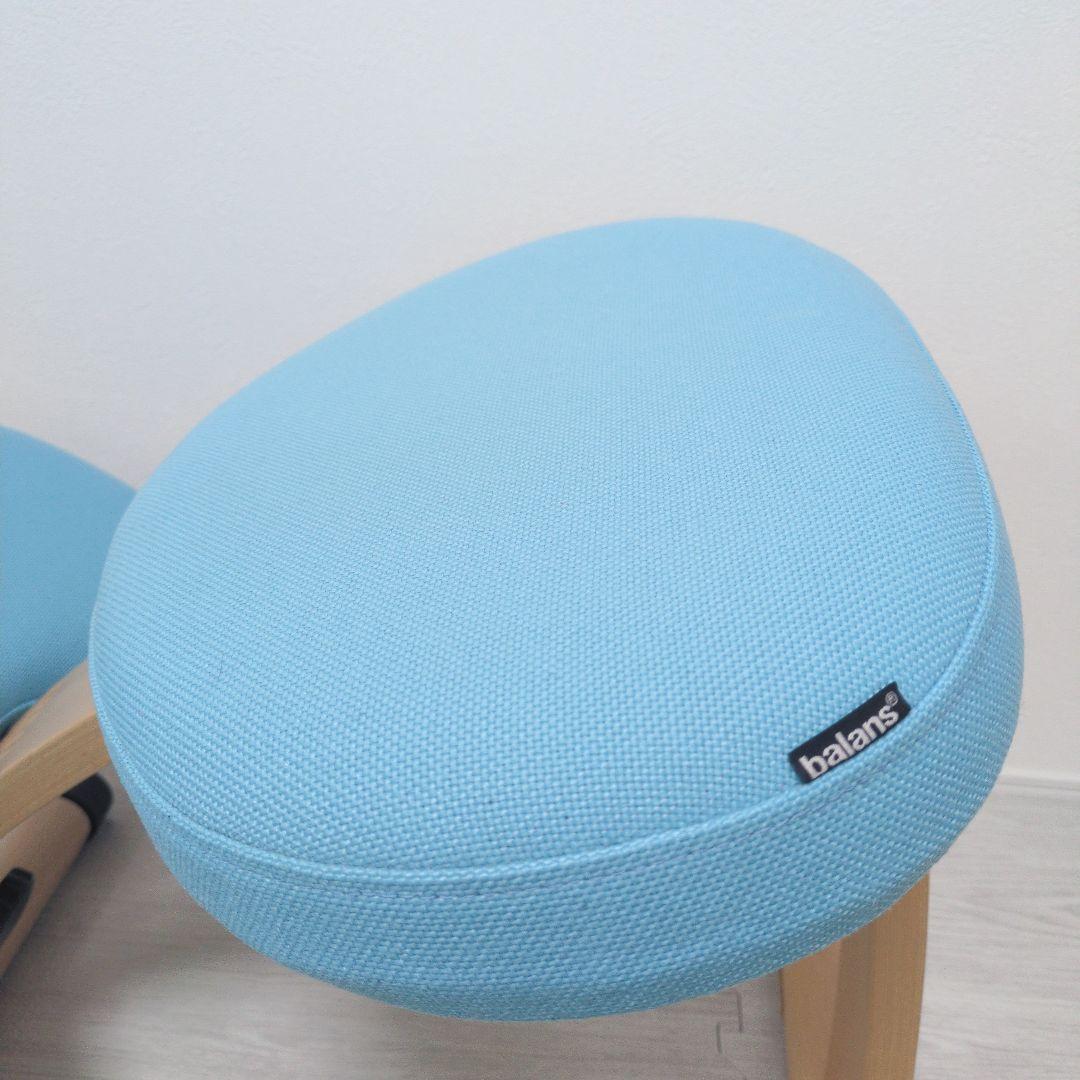 ✨️美品✨️Balans EASY バランスイージー　チェア カバー、説明書付き