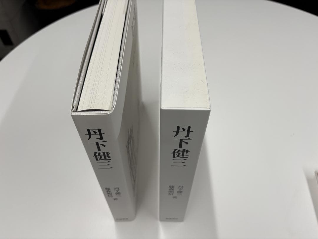 丹下健三 KENZO TANGE 丹下健三/藤森照信