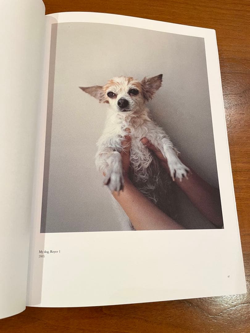 TAKASHI HOMMA TOKYO ホンマタカシ