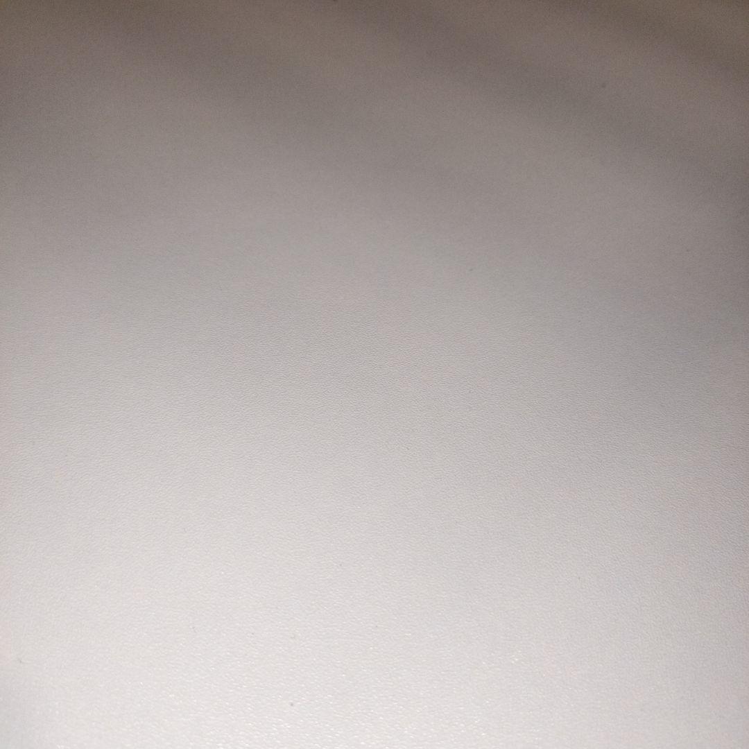 キャットケージ　棚付き