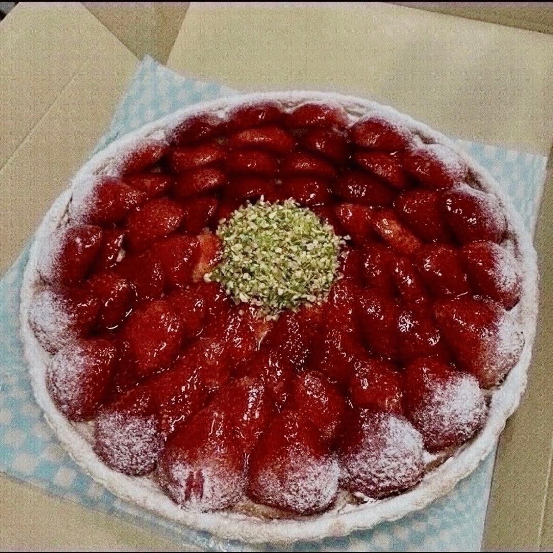 レディースウェア PEARLY