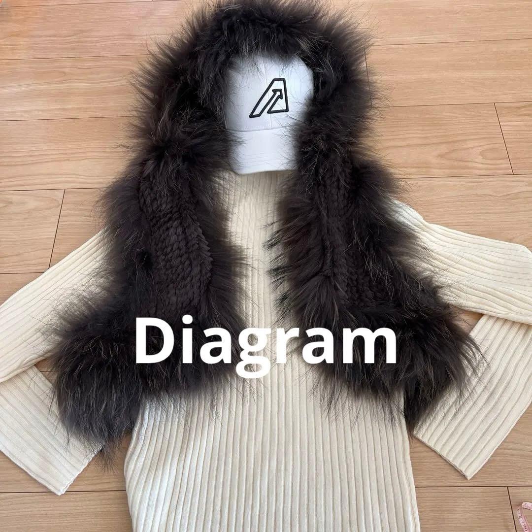 Diagram タヌキ(チャイニーズラクーン)ラビット リアルファーベスト