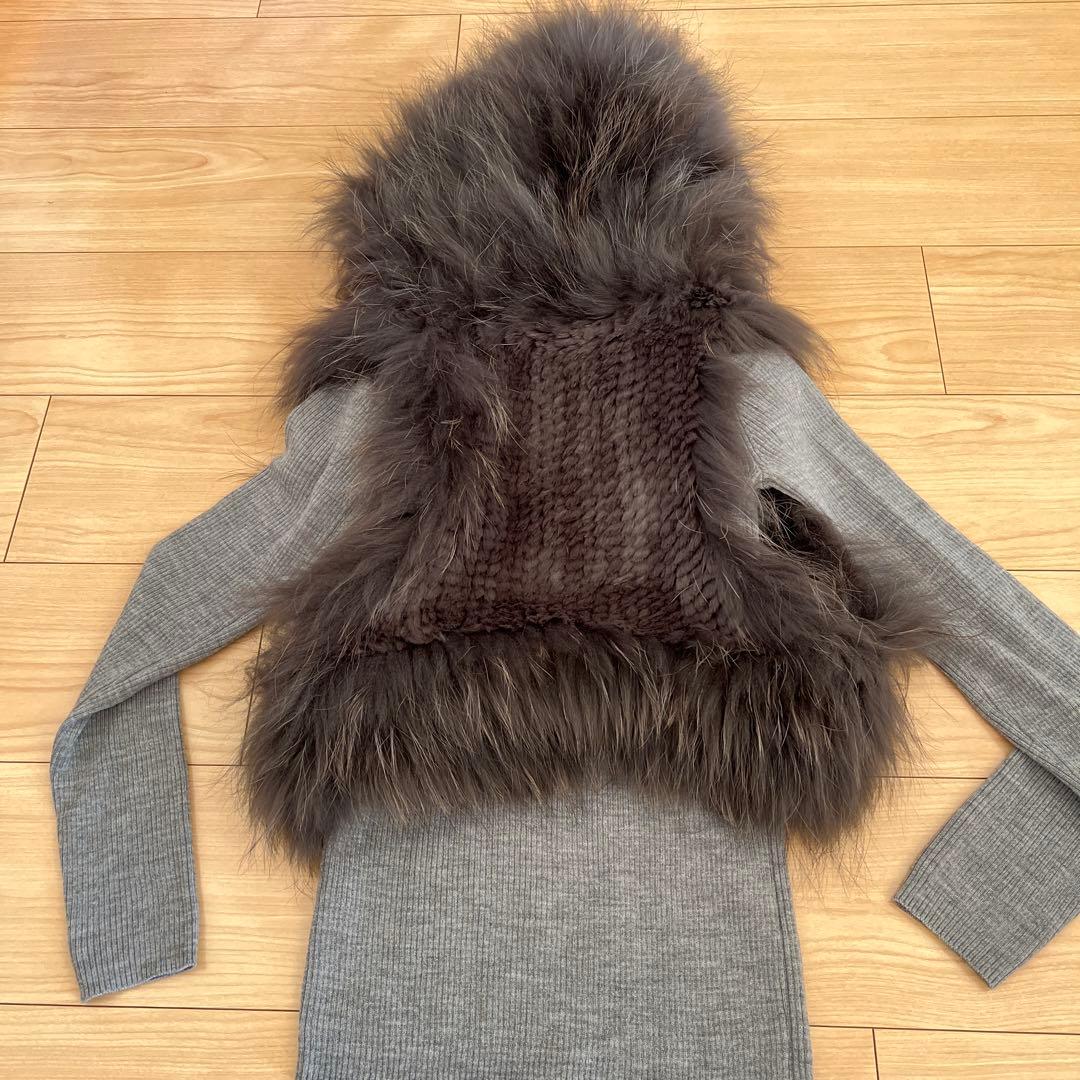 Diagram タヌキ(チャイニーズラクーン)ラビット リアルファーベスト