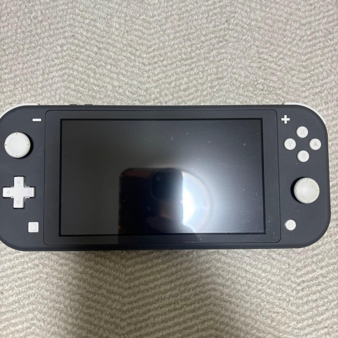 Nintendo Switch Lite 本体 充電器　モンスターハンターライズ