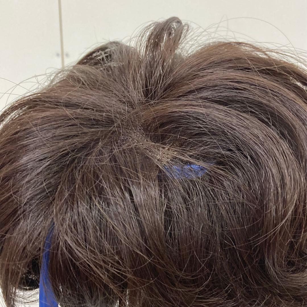 g344-52 プリシラ　オールウィッグ　人毛ミックス　総手植え　未使用