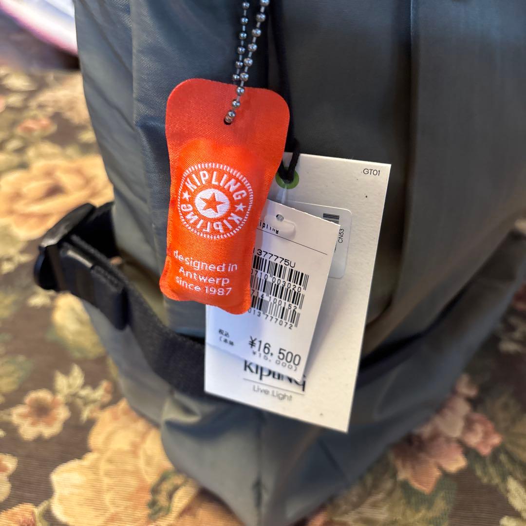 オリーブグリーン バックパック