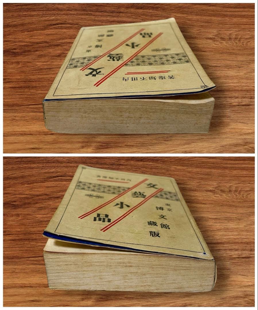 稀少初版 文藝小品 内田魯庵 明治時代 小説 アンティーク インテリア古本