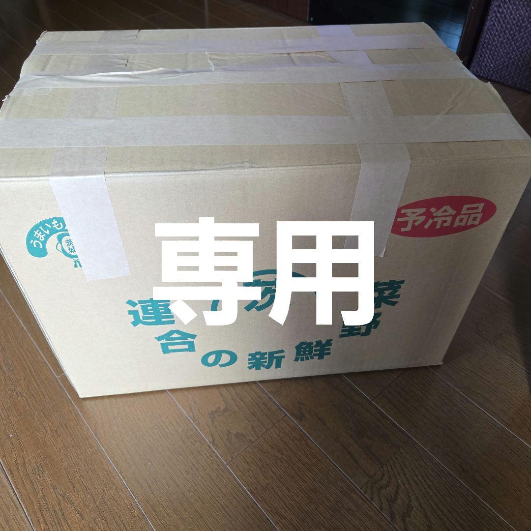 昭和レトロ専用食品保存容器 せっと