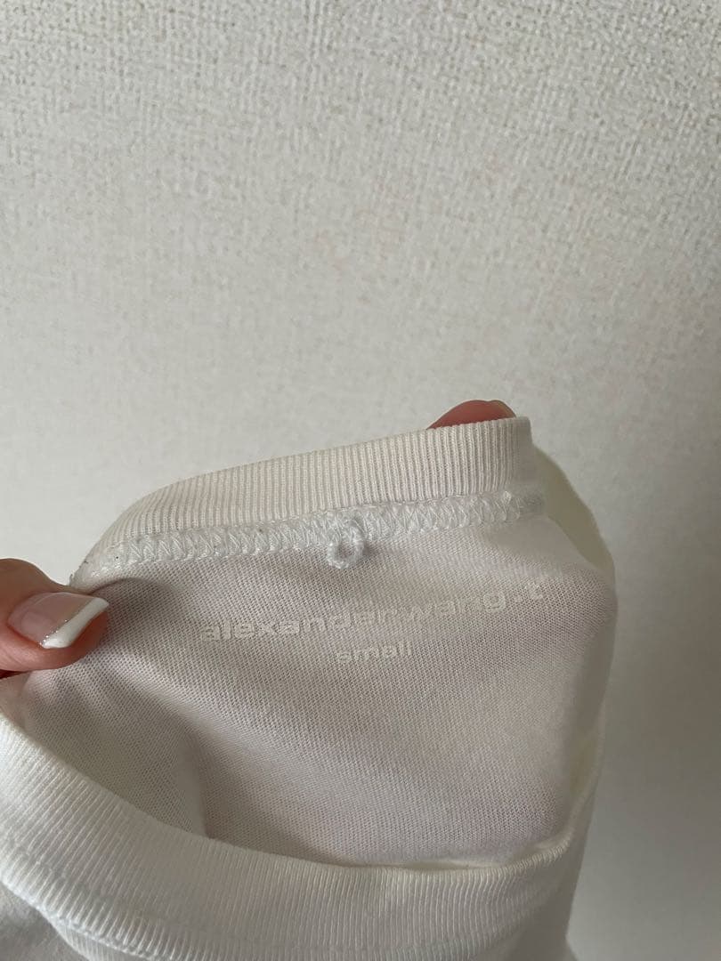 Alexander Wang Size S 白黒Tシャツセット