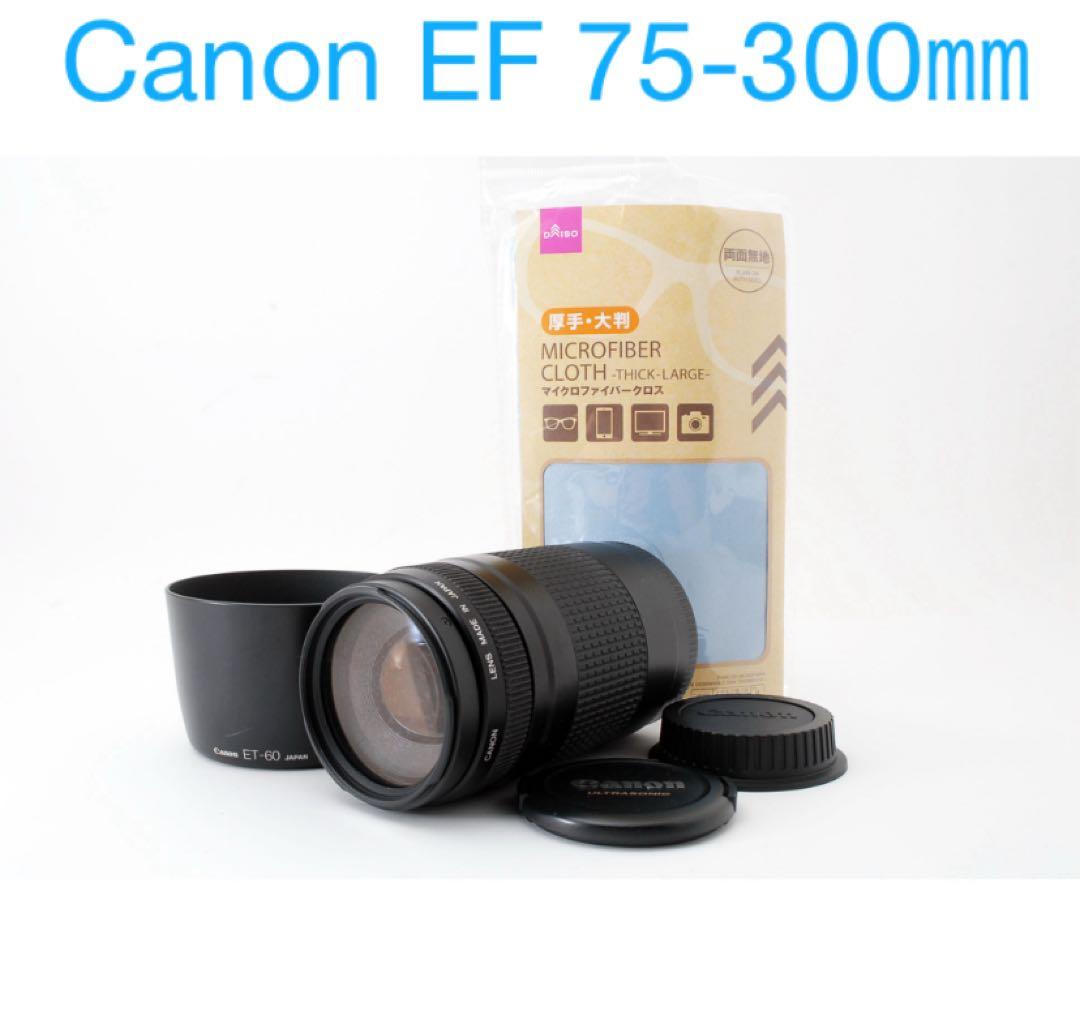 キャノン /フード付き/望遠レンズ/CANON EF 75-300㎜