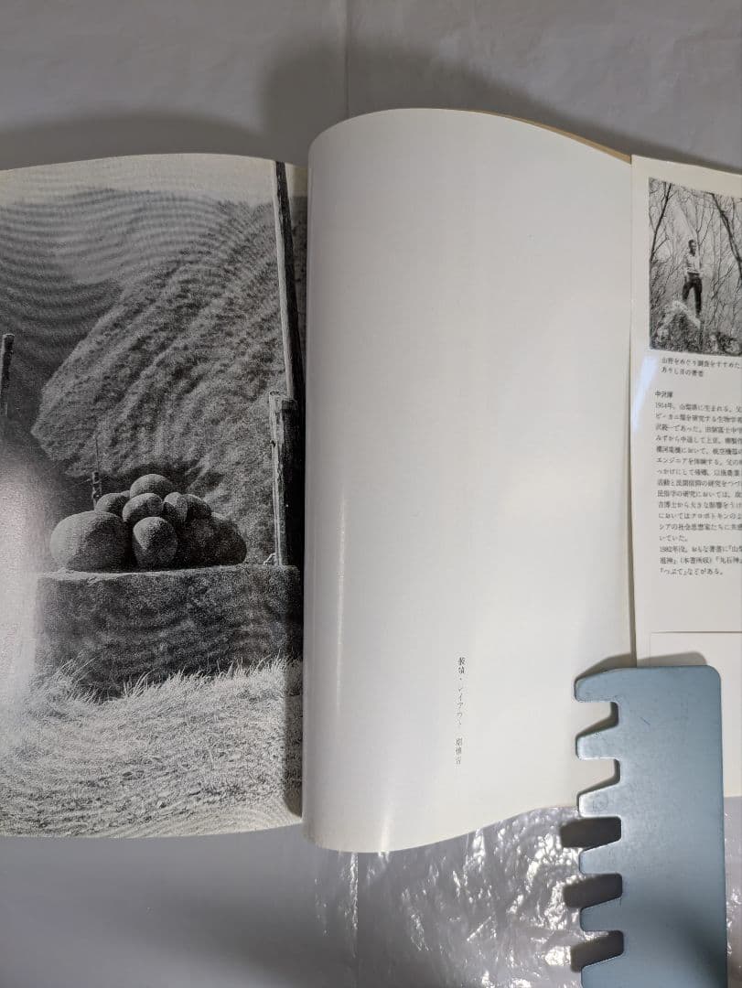 石にやどるもの　甲斐の石神と石仏　中沢厚著　平凡社刊行