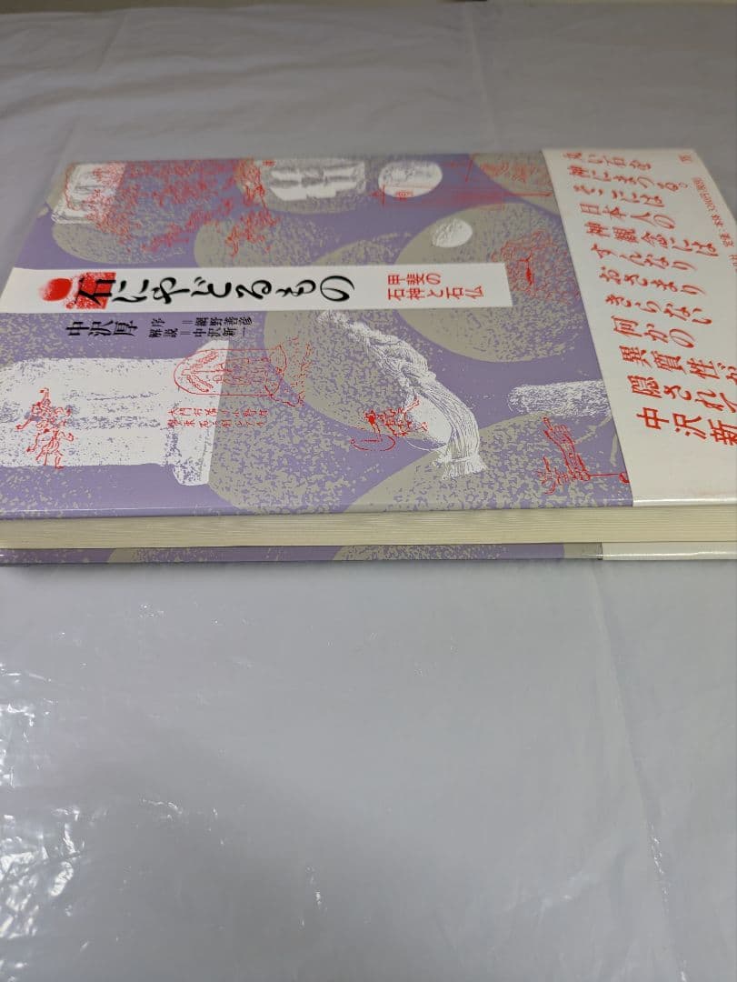 石にやどるもの　甲斐の石神と石仏　中沢厚著　平凡社刊行