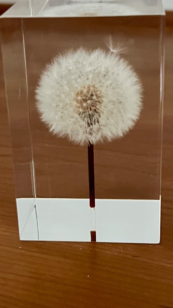 アクリルランプ たんぽぽ GLASS LAMP EL Techno Inc.