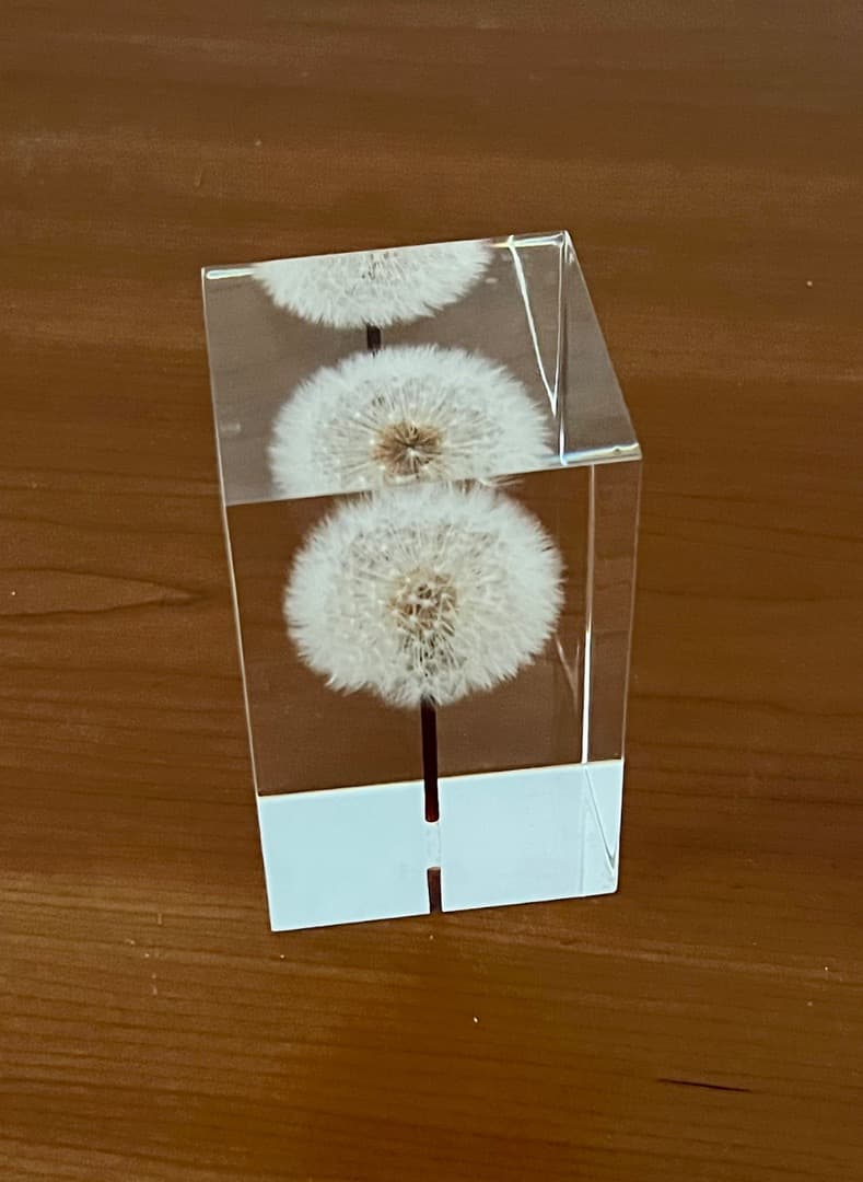 アクリルランプ たんぽぽ GLASS LAMP EL Techno Inc.