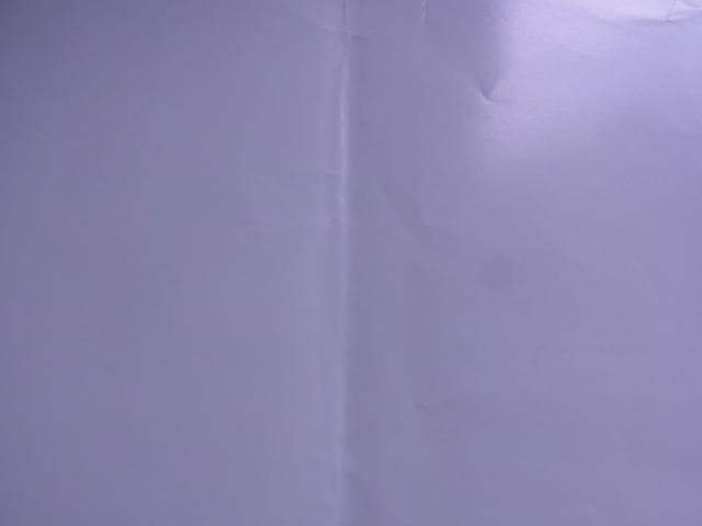 非売品　遊戯王デュエルモンスターズⅡ 継承されし記憶　プレステ2　PS2　販促品