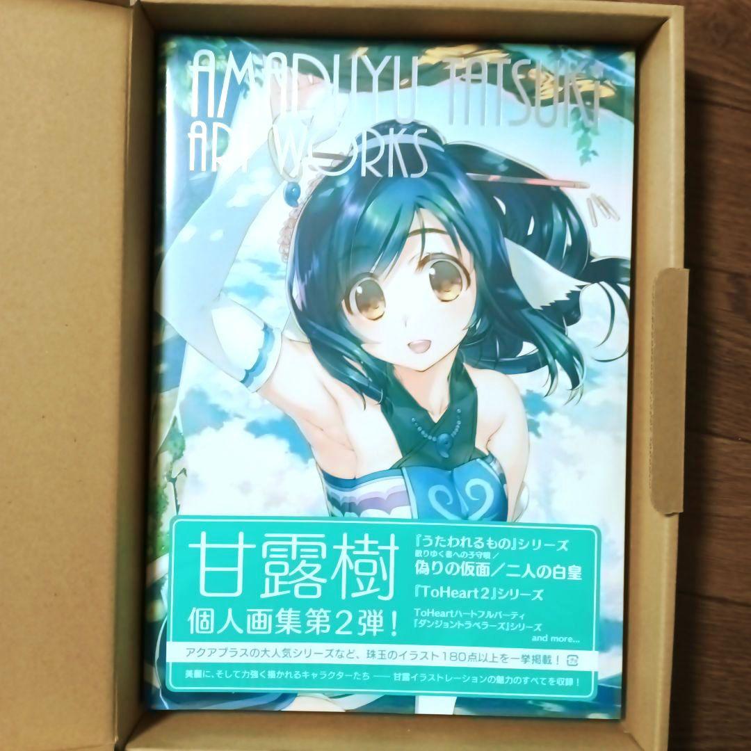 限定版　AMADUYU TATSUKI ART WORKS 甘露樹 画集