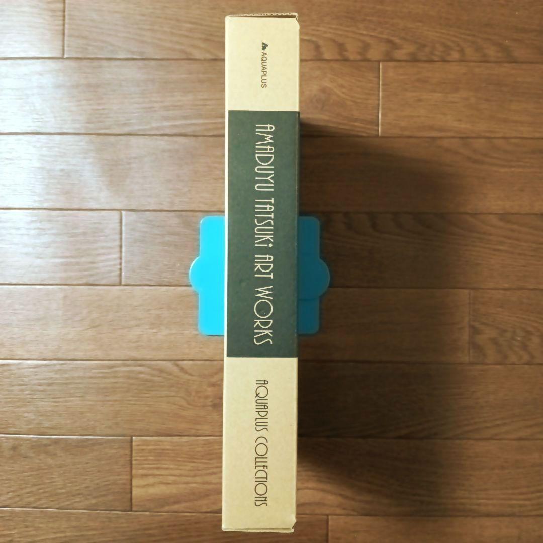 限定版　AMADUYU TATSUKI ART WORKS 甘露樹 画集