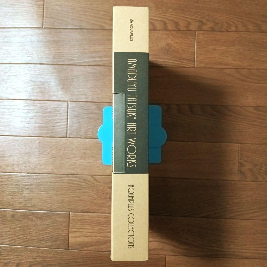 限定版　AMADUYU TATSUKI ART WORKS 甘露樹 画集